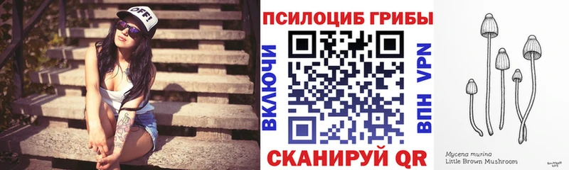 Галлюциногенные грибы Cubensis  блэк спрут маркетплейс  Калтан  наркошоп 